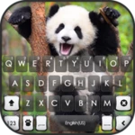 happy cute panda android application logo